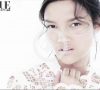 Chinesischen Vogue – Soft1 – 2010