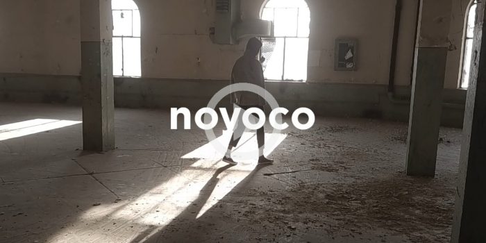 Noyoco OI17
